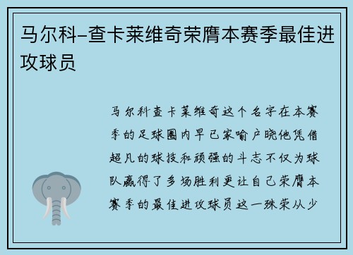马尔科-查卡莱维奇荣膺本赛季最佳进攻球员